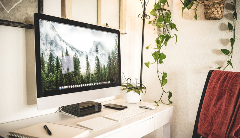 5 bewezen manieren waarop planten je productiviteit met 15% verhogen (volgens wetenschappelijk onderzoek) | Leestijd: 3 minuten