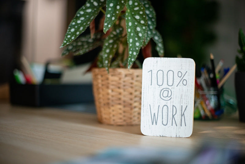 De simpelste manier om je focus te verdubbelen: Waarom succesvolle thuiswerkers altijd een plant links van hun scherm plaatsen | Leestijd: 3 minuten