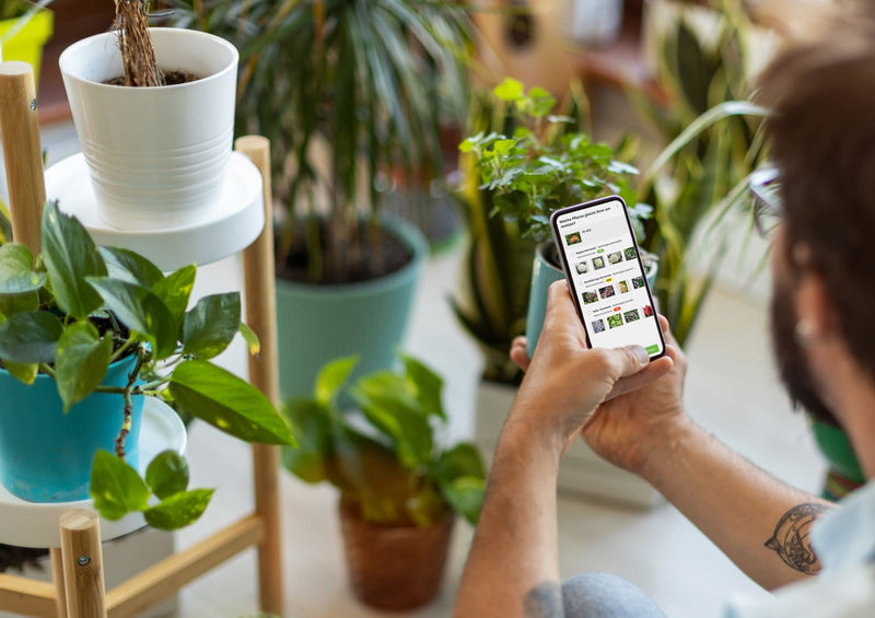 Waarom planten kiezen zo lastig voelt (en hoe jij eindelijk zonder twijfel kiest)