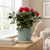 Rosa Red In P&PURE Lauren Ceramics op een eiken dressoir in een lichte Scandinavische woonkamer