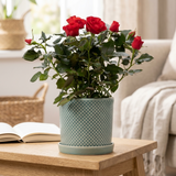 Rosa Red In P&PURE Lauren Ceramics op een houten bijzettafel naast een fauteuil in een sfeervol interieur