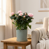 Rosa Light Pink In P&PURE Lauren Ceramics op een houten bijzettafel naast een fauteuil in een sfeervol interieur