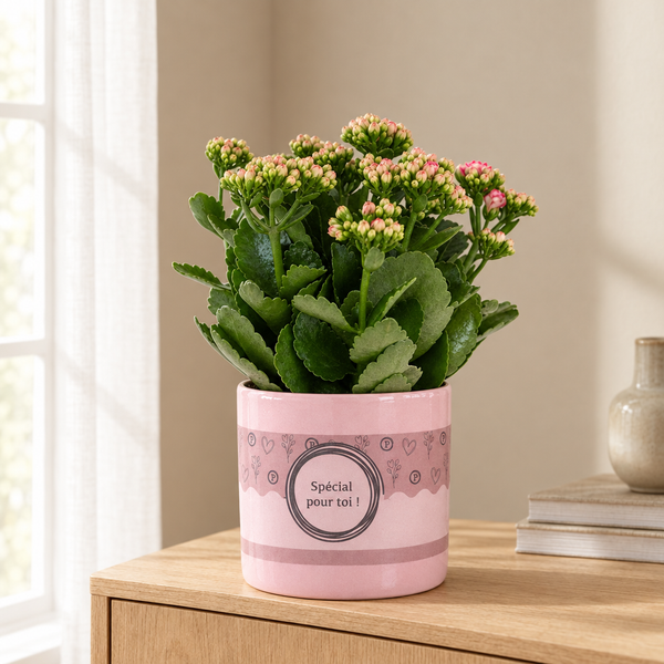 Kalanchoe Pink In P&PURE SPECIAL POUR TOI Verpakking in een sfeervolle, lichte woonkamer