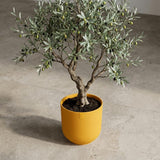 Pot Elho Jazz Round Amber Yellow - D14