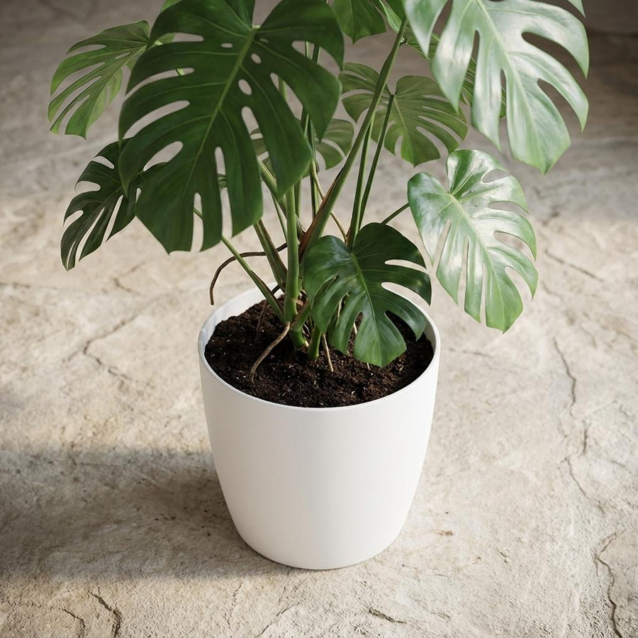 ELHO Brussels rond 25cm wit