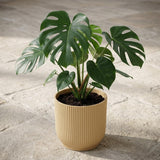 ELHO Vibes Fold 18cm geel