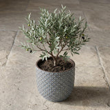 Mini pot relief blauw D7