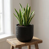 Capi Nature Skin Pot Bol Antraciet - D14cm - H13cm