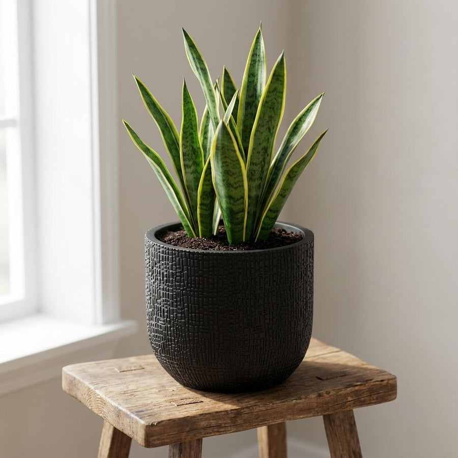Capi Nature Skin Pot Bol Antraciet - D14cm - H13cm