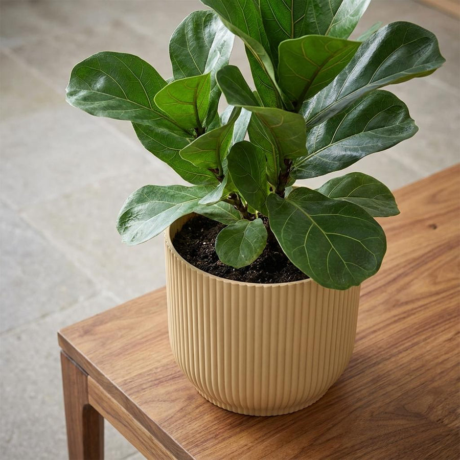 ELHO Vibes Fold 14cm geel