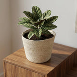 Mand Selin - Ø26cm - ↨23cm
