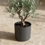 Elho B.for soft Antraciet - 18cm