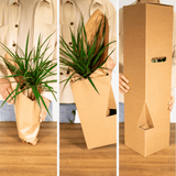 Surprise box - x5