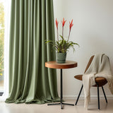 Vriesea Elan Toef