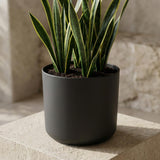 Elho B.for soft Antraciet - 18cm