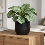 Capi Nature Skin Pot Bol Antraciet - D14cm - H13cm