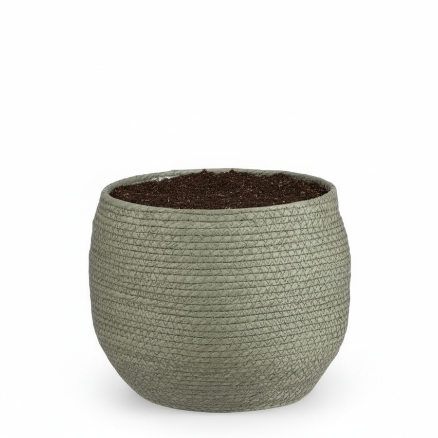Mand Jorck groen D26