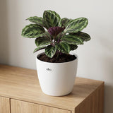ELHO Brussels rond 18cm wit