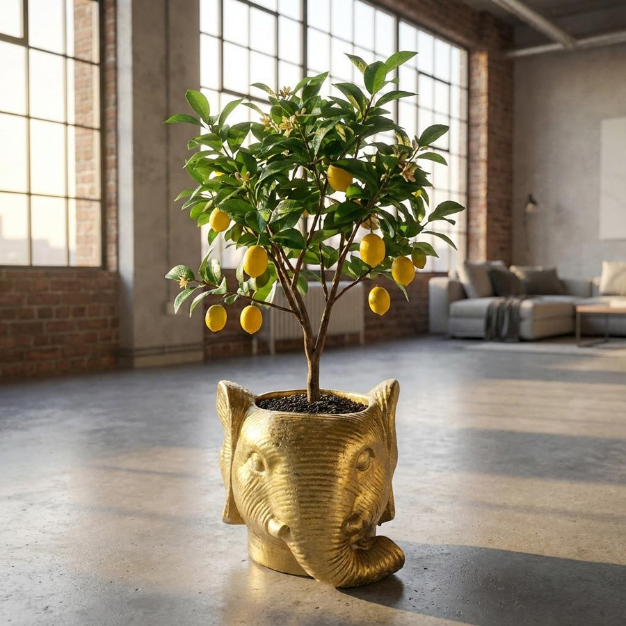 Planter Olifant D11/12x10cm - Goud - D11/12x10cm