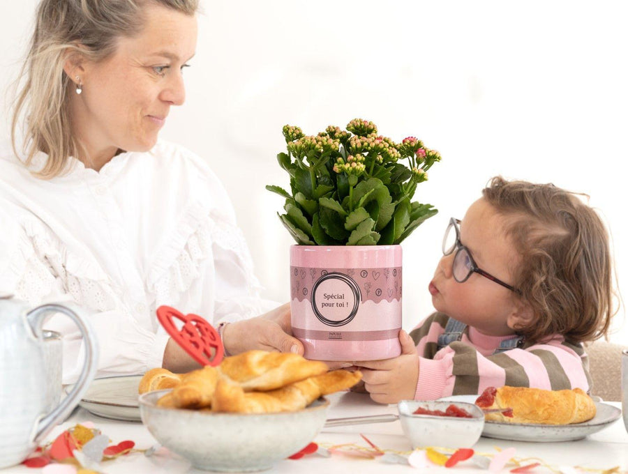 Kalanchoe Pink In P&PURE "SPECIAL POUR TOI" Verpakking