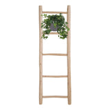 Hedera Helix Groen - Hangpot Wit / Basic