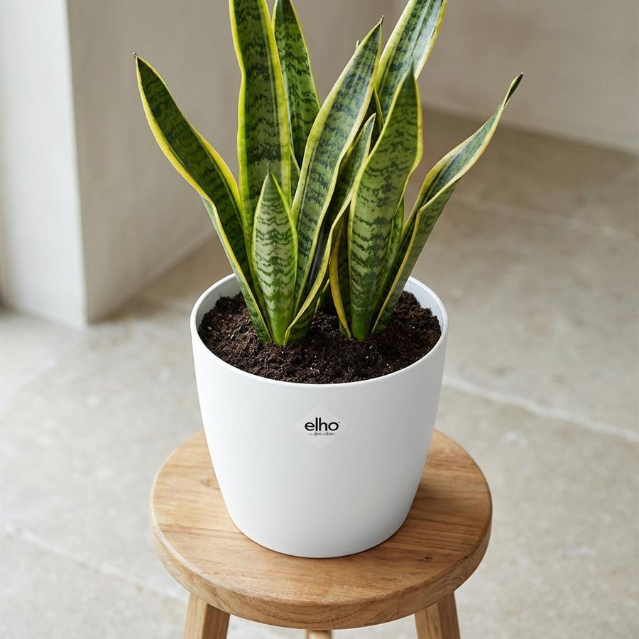 ELHO Brussels rond 18cm wit
