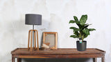 Aglaonema Greenlight (Decorum)