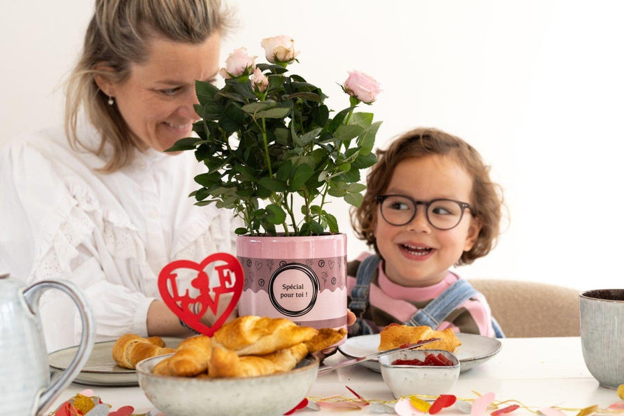 Rosa Light Pink In P&PURE "SPECIAL POUR TOI" Verpakking