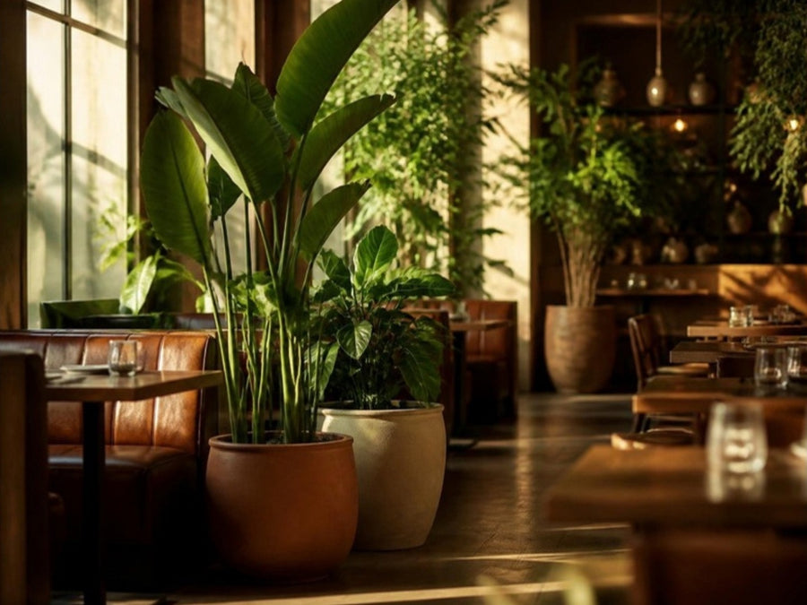 Grote kamerplanten in plantenbakken tussen houten tafels en leren banken in een restaurant