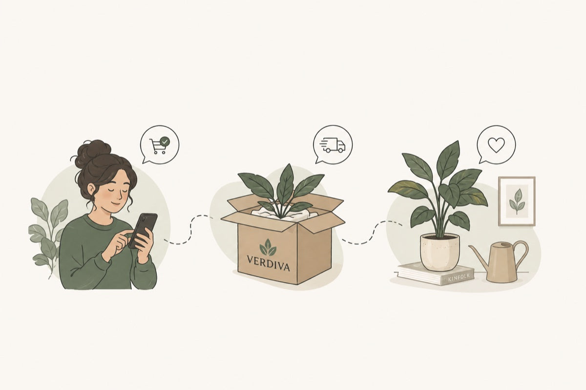 Van bestellen op je telefoon en bezorging in een Verdiva-doos tot de plant op je werkplek